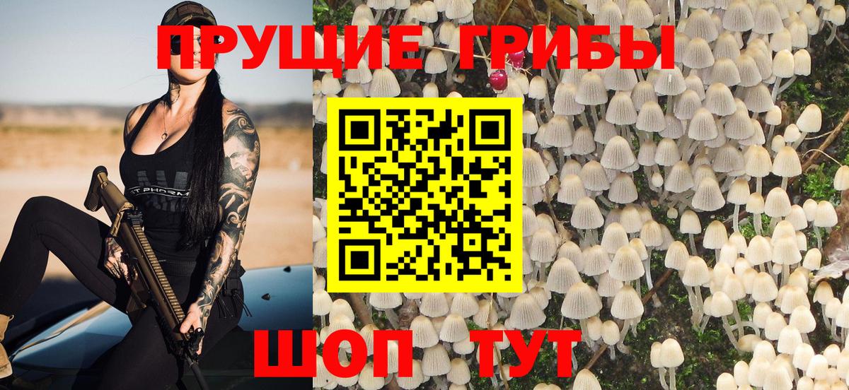 Борзя  Псилоцибиновые грибы Magic Shrooms  Вход с VPN 